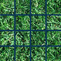 game_g_view